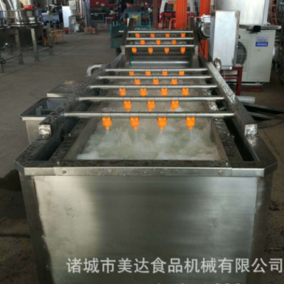 商用食品蓮藕果蔬氣泡清洗機(jī) 全自動氣泡噴淋紅薯清洗設(shè)備