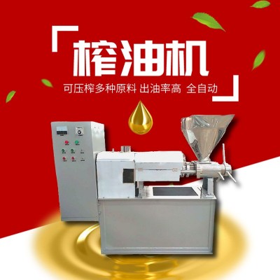 濃香型花生油榨油機(jī)商用整套全自動榨油生產(chǎn)線油坊中型螺旋榨油機(jī)