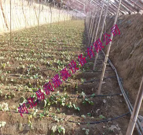 滴水均勻壽命長滴灌管 山西***微灌管批發價格