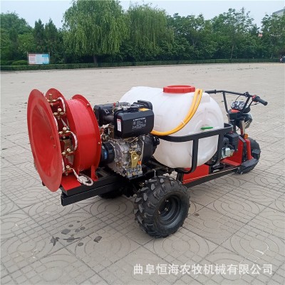 新款果園噴霧機 供應規格全苗圃打藥機價格 菜地自走式噴霧器圖片