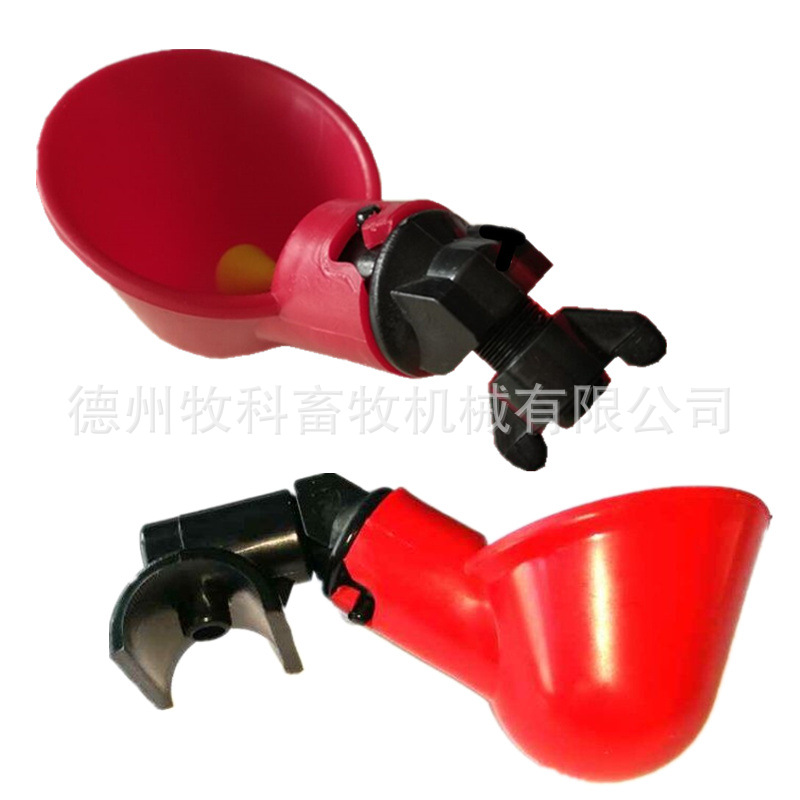 QQ圖片20190101154927_副本