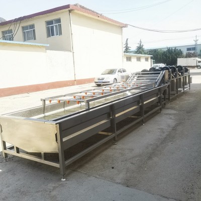 海帶絲清洗機 不銹鋼全自動清洗設(shè)備 氣泡清洗機廠家