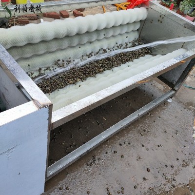 毛輥清洗機 和田玉石毛輥清洗機設(shè)備 栗子核桃毛輥清洗機