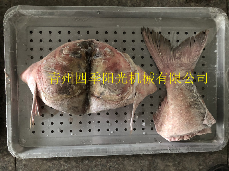 循環鏈條式速凍機