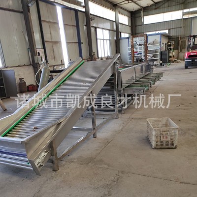 滾杠式選果機(jī) 良才牌地黃分級機(jī) 白芍分級機(jī) 果蔬加工設(shè)備