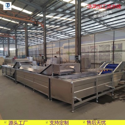 辣椒清洗機 不銹鋼果蔬氣泡清洗流水線 葉類蔬菜清洗設備