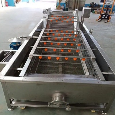 廠家供應軟包裝袋清洗機 蔬菜瓜果氣泡清洗流水線 水產品清洗設備