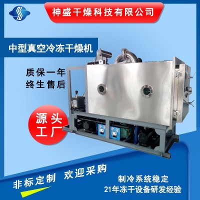 調味品方便食品冷凍干燥機 大型水果蔬菜低溫冷凍干燥機廠家現貨