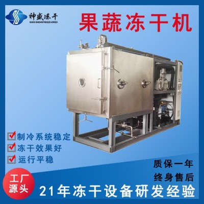 現貨供應大型商用果蔬食品凍干機 5-250平海鮮肉類真空冷凍干燥機