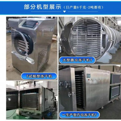 商用凍干機(jī)大中小型食品果蔬草藥真空凍干設(shè)備低溫式真空冷凍干燥