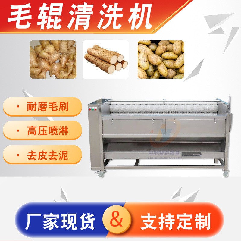 全自動(dòng)大型蔬菜生姜土豆清洗去皮設(shè)備 海蠣子生蠔去泥毛輥清洗機(jī)