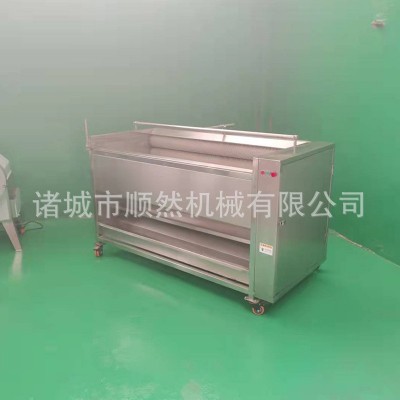 供應土豆去皮清洗機 蓮藕大姜清洗設備 毛刷蘿卜紅薯清洗去皮機