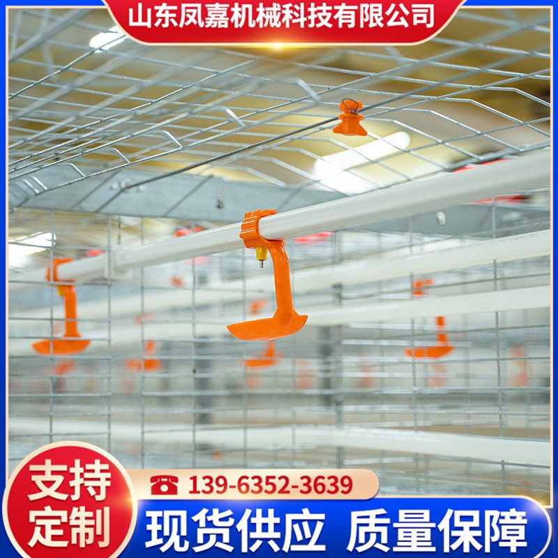 廠家供應(yīng)肉雞鴨養(yǎng)殖設(shè)備 全自動(dòng)肉雞籠 大規(guī)模養(yǎng)殖雞籠 養(yǎng)雞設(shè)備