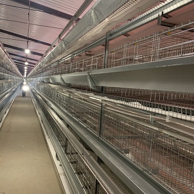 四層型材蛋雞籠尺寸1560mmX450四門提高產蛋率節省人工