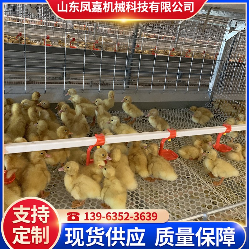 現(xiàn)貨供應(yīng)籠養(yǎng)設(shè)備 農(nóng)業(yè)養(yǎng)殖機(jī)械肉鴨籠 鴨子籠養(yǎng)殖場(chǎng)用的肉鴨籠