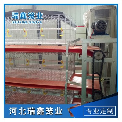 廠家批發 全自動肉雞籠養殖 層疊籠養設備