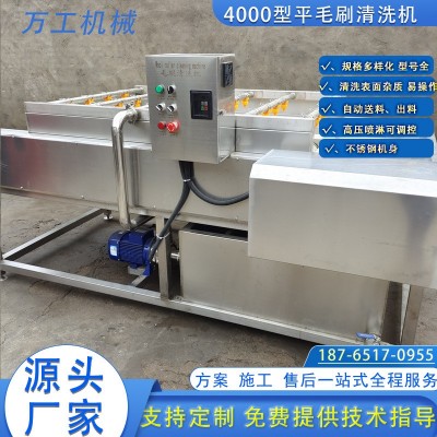 全自動平毛輥橘子蘋果清洗設(shè)備 海產(chǎn)品清洗機 大姜清洗設(shè)備