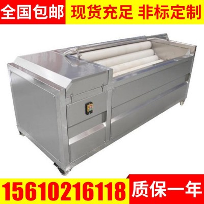 胡蘿卜土豆清洗機 毛輥清洗機 果蔬去皮清洗機 定制毛輥清洗機