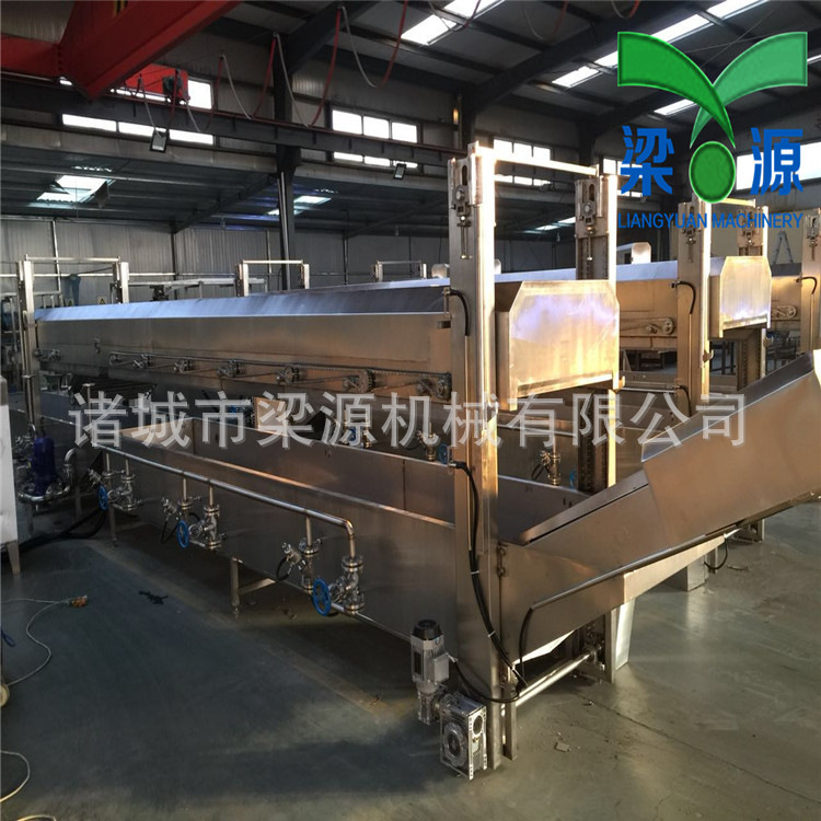 丸子生產(chǎn)線