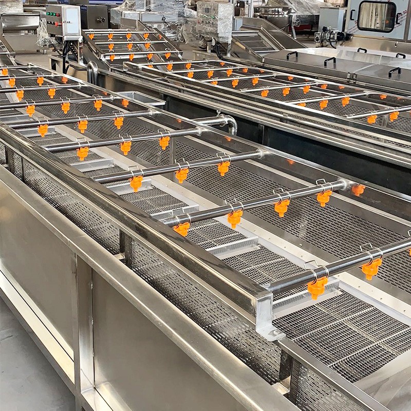 蔓越莓氣泡果蔬清洗機(jī) 全自動(dòng)山野菜蔬菜加工設(shè)備 醬菜脫鹽清洗機(jī)