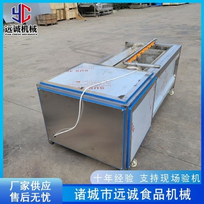 供應姜不辣紫薯去皮機 海螺毛刷清洗機 全自動毛輥清洗機設備