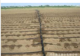 QQ圖片20160928134802