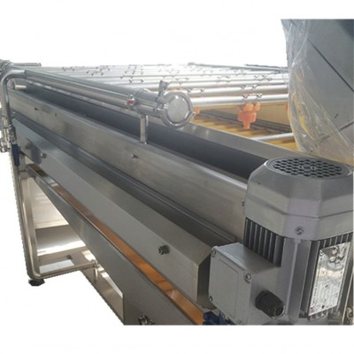 （熱銷單品）廠家供應(yīng)蘋果杏子平板毛刷噴淋清洗機(jī)