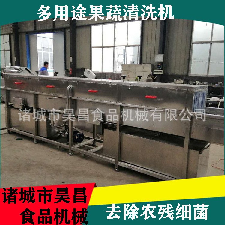 果蔬清洗機(jī)商用 爆款中藥材高壓噴淋旋流氣泡 多功能節(jié)能高效清洗