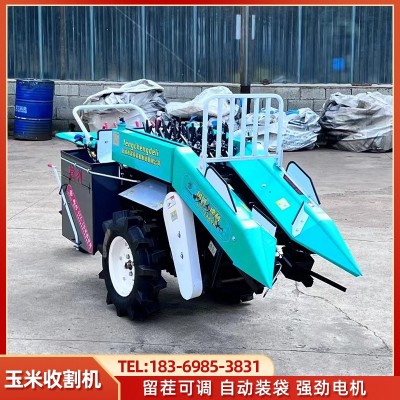 小型玉米收割機(jī) 單壟棒子收貨機(jī)柴油收玉米機(jī)器 輪距可調(diào)