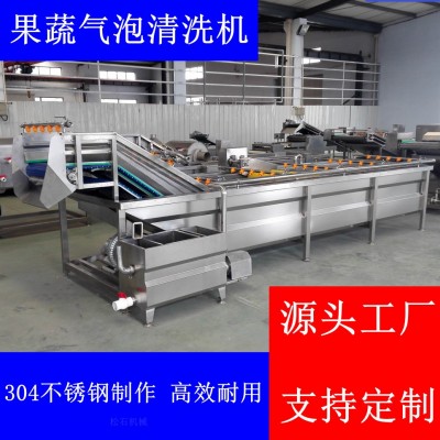 菌菇類山野菜噴淋氣泡清洗加工流水線 軟包裝袋洗袋烘干機 松石