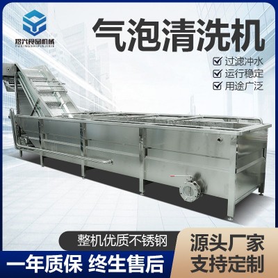 洗菜機商用果蔬清洗機全自動氣泡清洗機去除農藥蔬菜洗菜機可批發(fā)