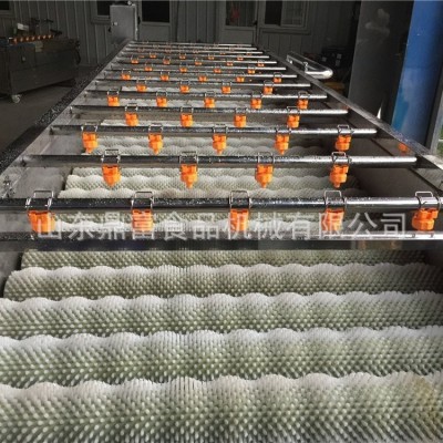 牡蠣毛輥清洗機(jī)全自動(dòng)不銹鋼毛輥清洗機(jī)大姜根莖類蔬菜毛刷清洗機(jī)