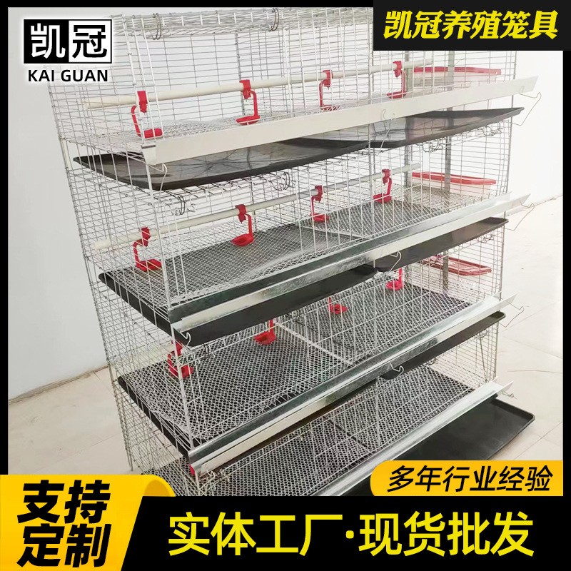 廠家供應(yīng)育雛雞籠 多層小雞籠子蛋雞育雛籠 畜牧養(yǎng)殖專用飼養(yǎng)設(shè)備
