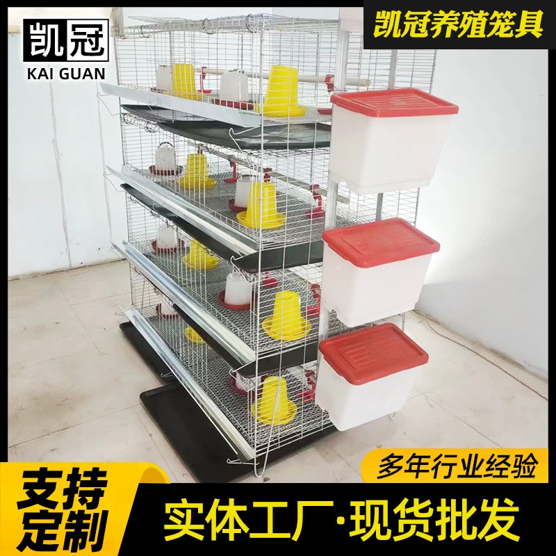 蛋雞育雛籠階梯式小雞籠子雛雞籠養(yǎng)雞場(chǎng)設(shè)備熱鍍鋅立式四層育雛籠