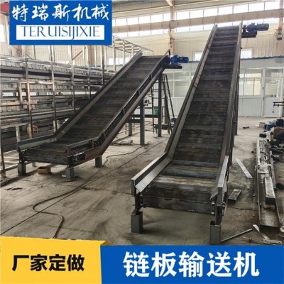 定做鏈板提升機 不銹鋼材質(zhì)可沖孔 清洗線必備板鏈爬坡機 特瑞斯