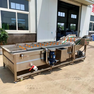 廠家直供全自動蔬菜果蔬氣泡清洗機山野菜大型清洗設備海鮮去泥沙