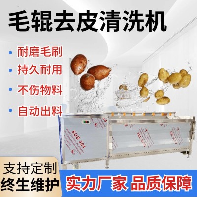 土豆紅薯毛輥清洗機海蠣子去泥清洗設備豬蹄三七芋頭去皮清洗機