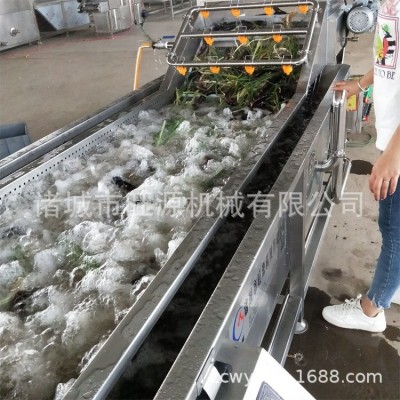 預制菜清洗流水線 芋頭清洗機 自動噴淋清洗蔬菜設備 旺源