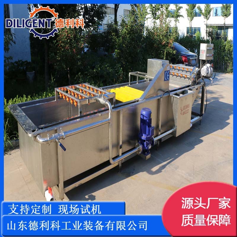 噴淋式瓜果氣泡清洗設備 辣椒清洗機 預制菜加工設備 果蔬清洗機