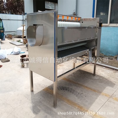 商用大型全自動(dòng)果蔬毛輥脫皮清洗機(jī) 馬蹄蓮藕毛刷脫皮清洗機(jī)