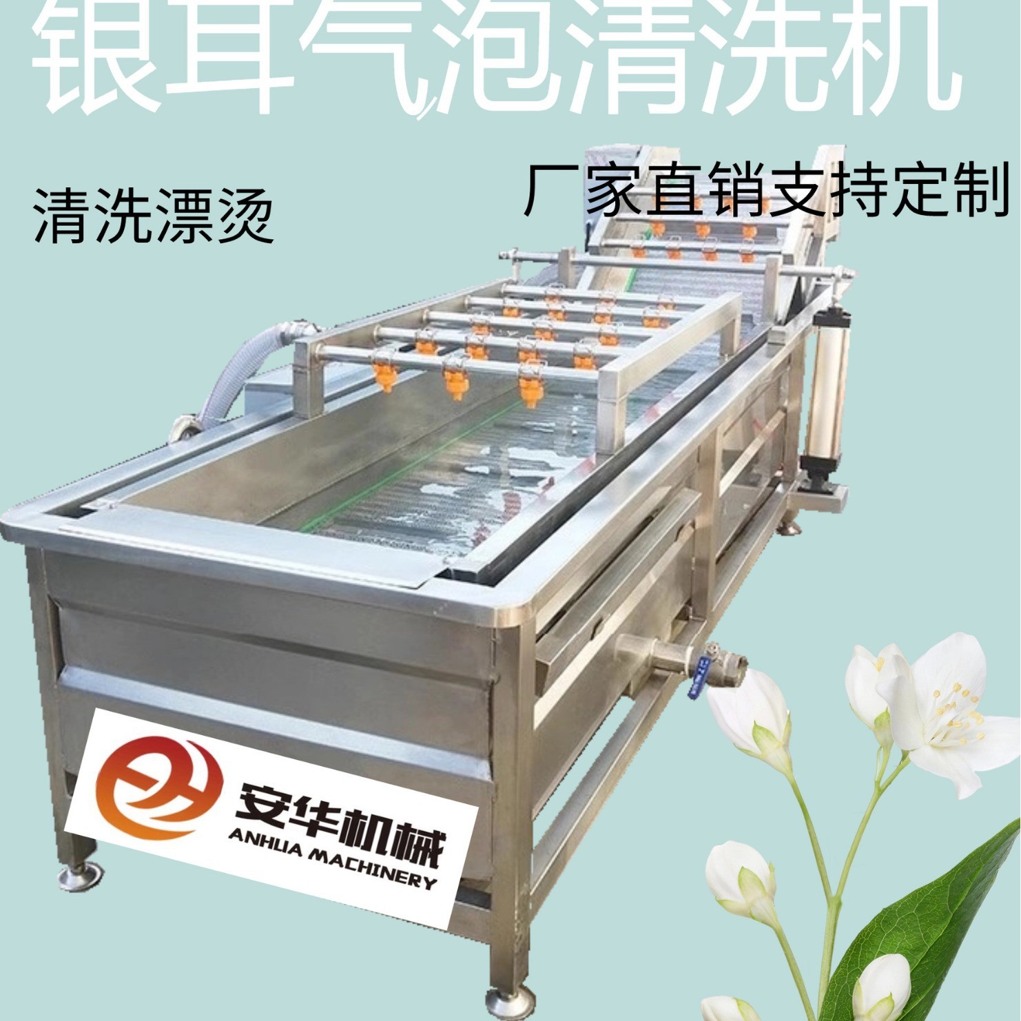 全自動(dòng)果蔬氣泡清洗機(jī)藍(lán)莓圣女果銀耳毛豆清洗機(jī)臭氧果蔬消毒設(shè)備