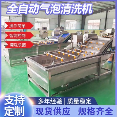 全自動蘋果氣泡清洗機不銹鋼商用預制菜清洗設備果蔬氣泡清洗機