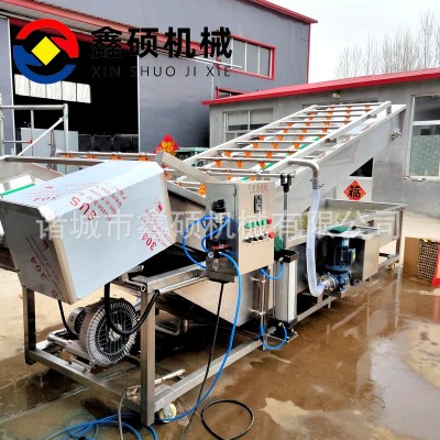 廠家供應氣泡清洗機 不銹鋼材質果蔬清洗線 彩椒金針菇清洗機設備