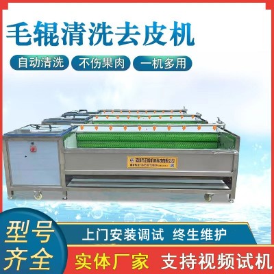 現(xiàn)貨土豆去皮機(jī)脫皮機(jī) 9根木薯洋蔥去皮機(jī) 毛刷毛輥清洗機(jī)