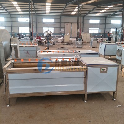 廠家供應根莖類蔬菜清洗去皮機 全自動蘿卜清洗機蔬菜加 工廠設備