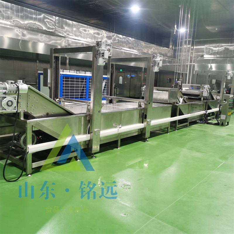 圣女果氣泡清洗設備豆角洗菜設備檸檬氣泡清洗機大棗山楂清洗設備