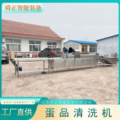 諸城雞蛋鴨蛋清洗機 單排保潔蛋清洗設備 雞蛋清洗光檢噴碼一體機