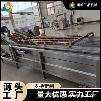 中藥材氣泡清洗機商用大型多功能氣泡清洗機
