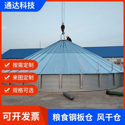 供應(yīng)糧食儲(chǔ)存鋼板倉(cāng)玉米小麥糧食倉(cāng)儲(chǔ)存室外風(fēng)干糧倉(cāng)糧食儲(chǔ)存設(shè)