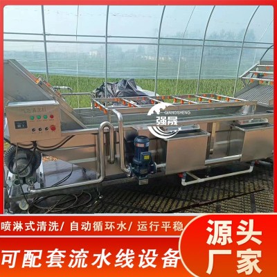 檸檬氣泡清洗機 鼓泡式金桔芒果清洗去雜機 噴淋式百香果清洗機